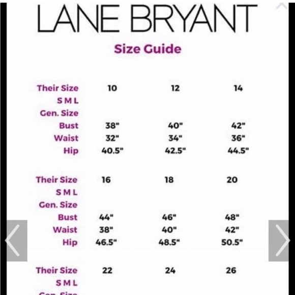 Lane Bryant semi sheer animal print blouse - Picture 11 of 11